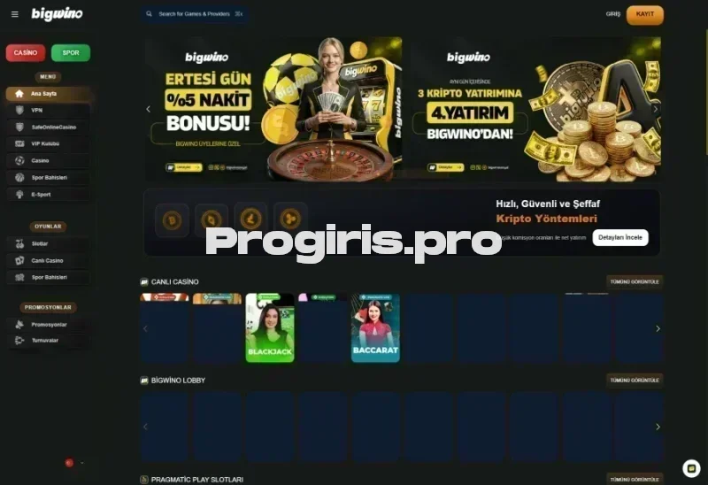 Bigwino ana sayfa görünümü