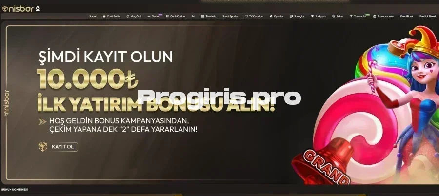 Nisbar ana sayfa görünümü